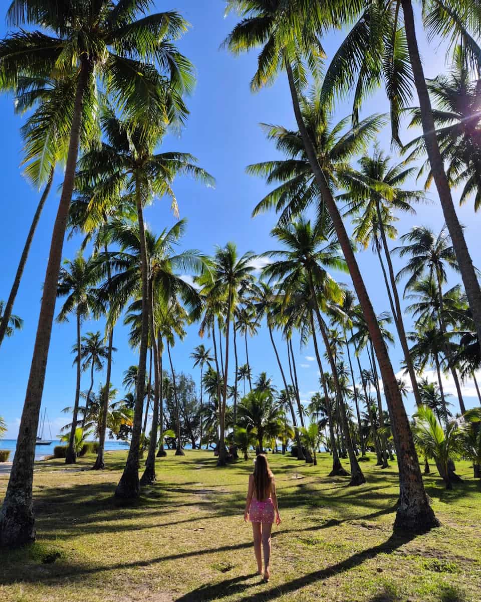 Moorea, French Polynesia Moorea, French Polynesia