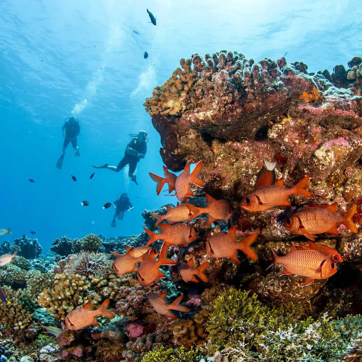 Rangiroa, French Polynesia Rangiroa, French Polynesia
