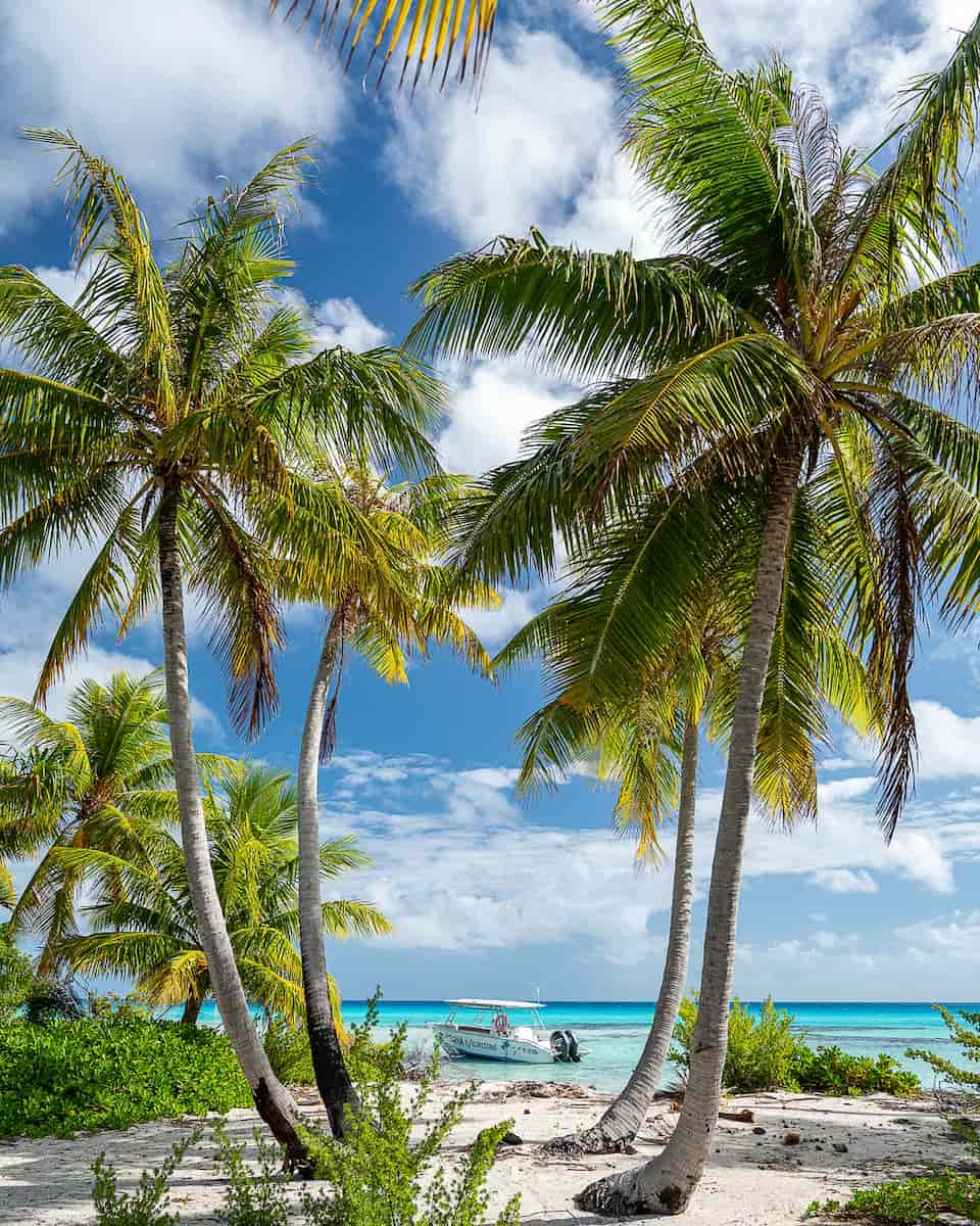 Rangiroa, French Polynesia Rangiroa, French Polynesia