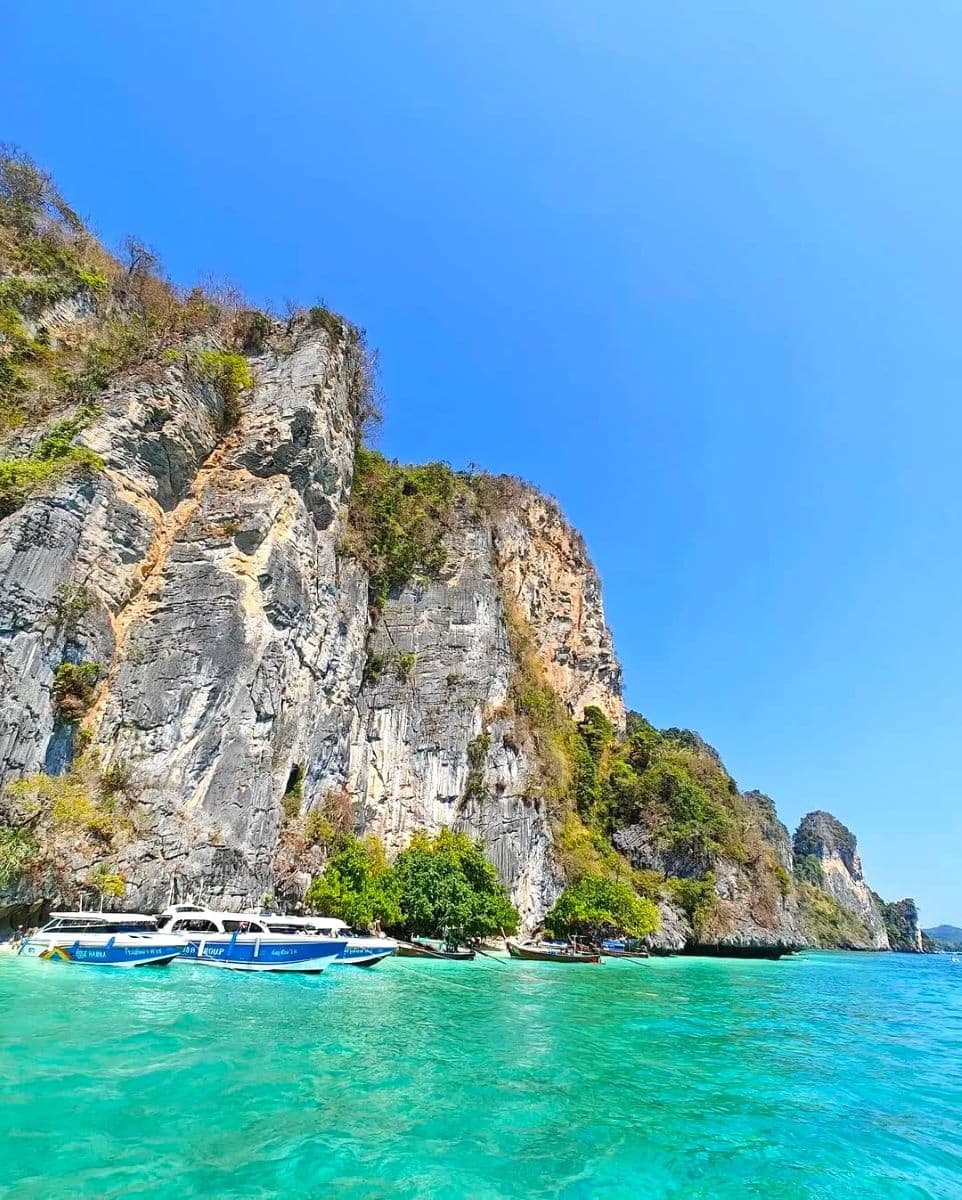 Shark Bay Thailand Shark Bay Thailand