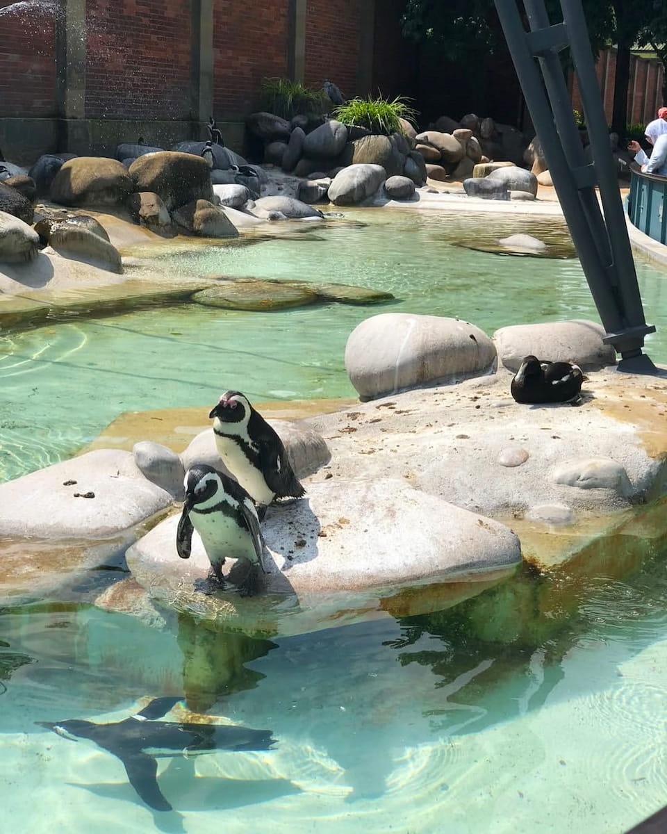 Stuttgart Wilhelma Zoo, Germany Stuttgart Wilhelma Zoo, Germany