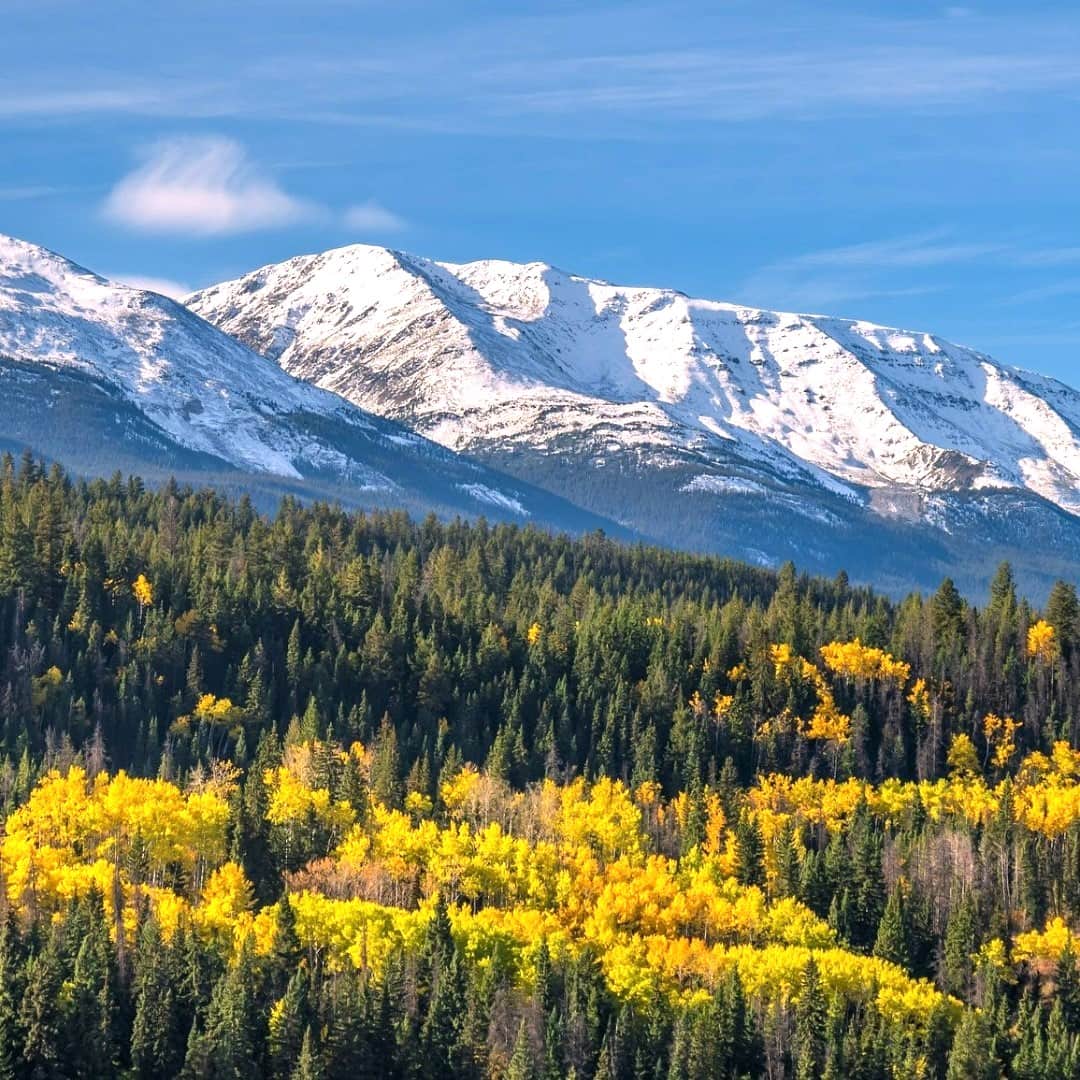 Sunwapta Falls Area Sunwapta Falls Area