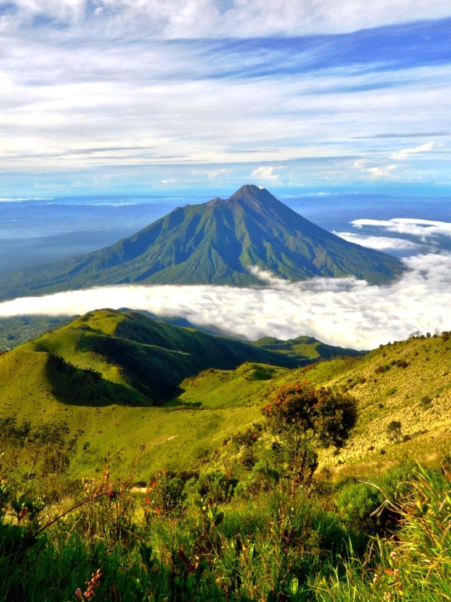 Yogyakarta Yogyakarta