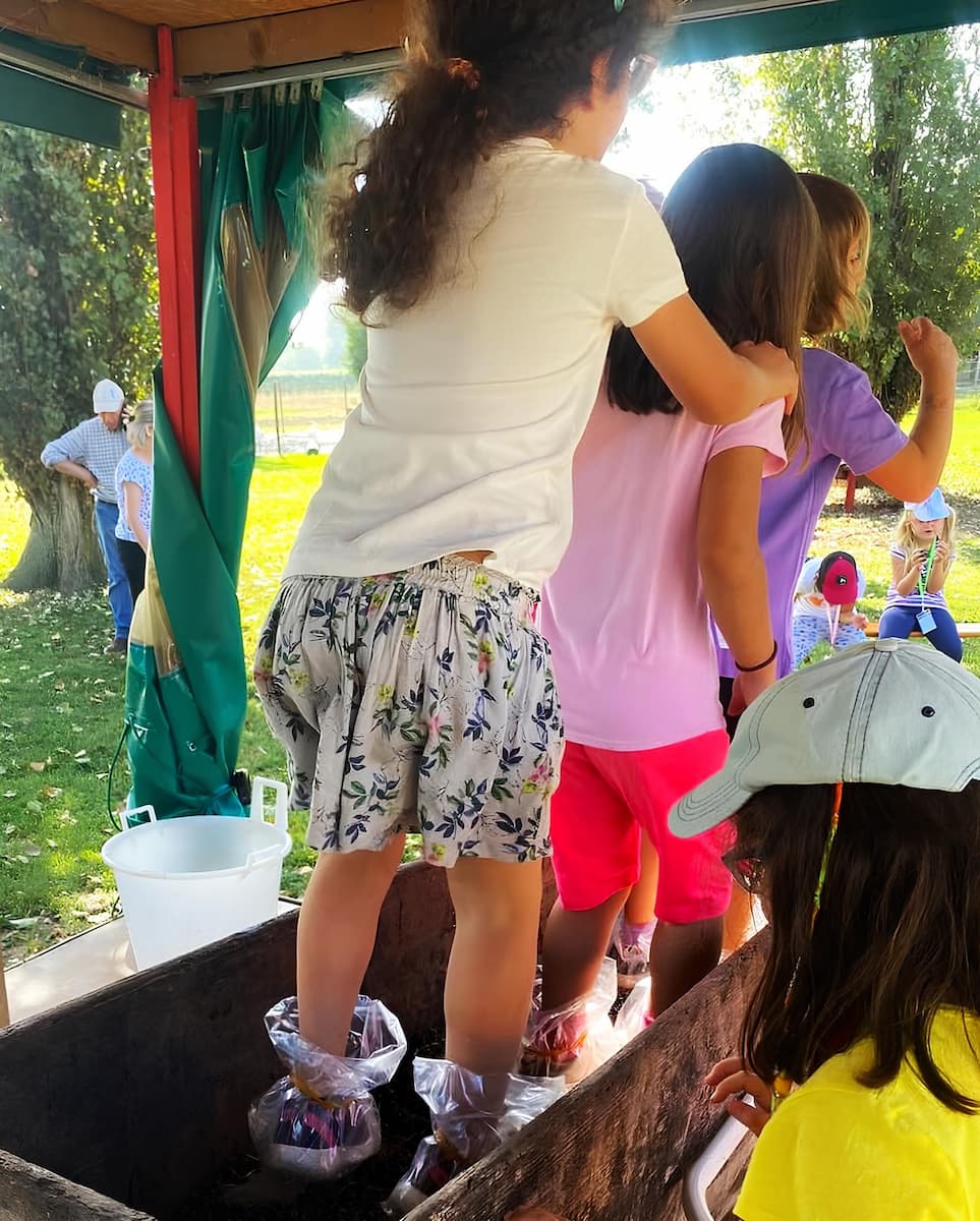 Azienda Agricola, Procida, Italy Azienda Agricola, Procida, Italy