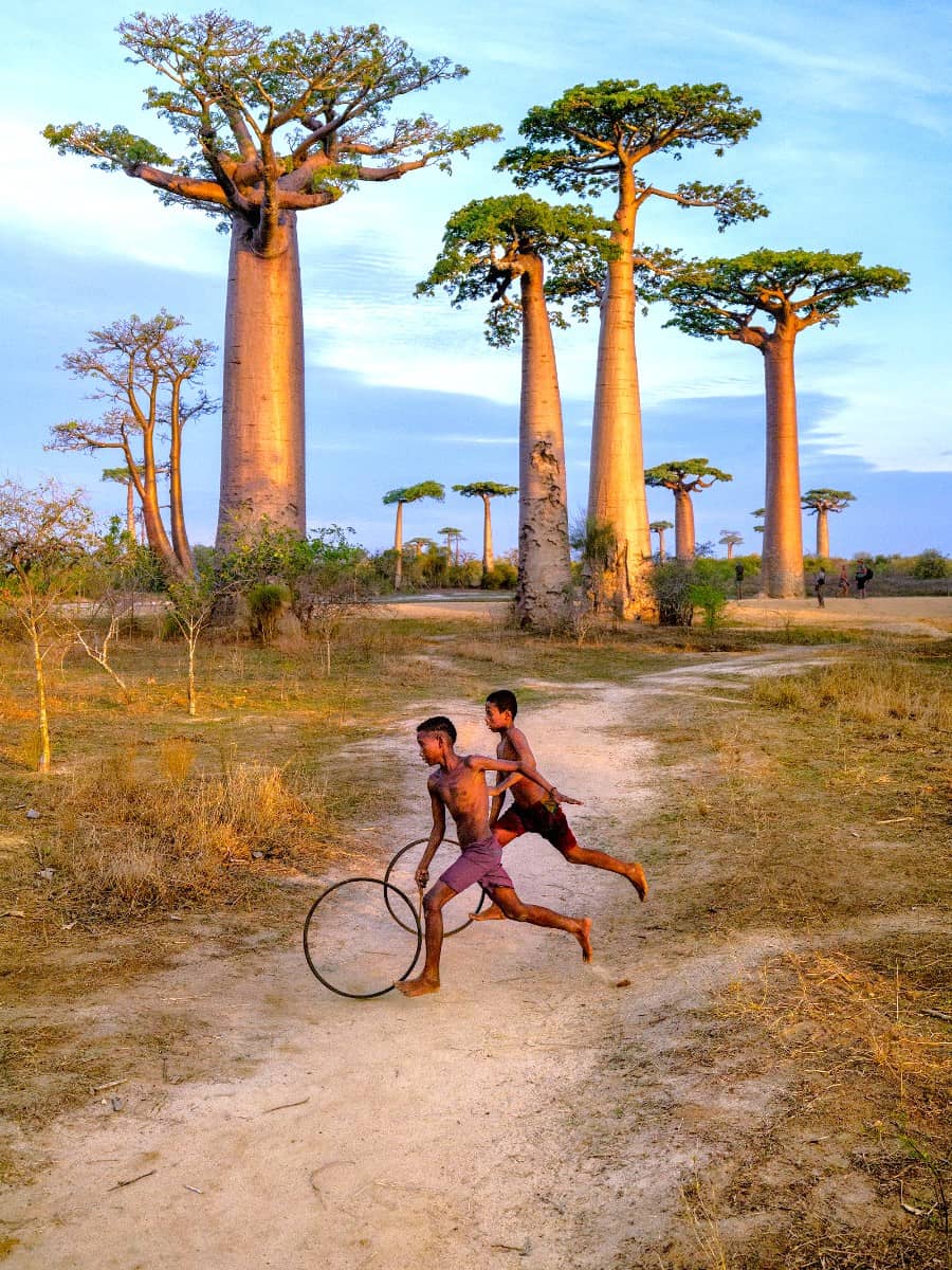 Baobab Avenue, Morondava, Madagascar Baobab Avenue, Morondava, Madagascar