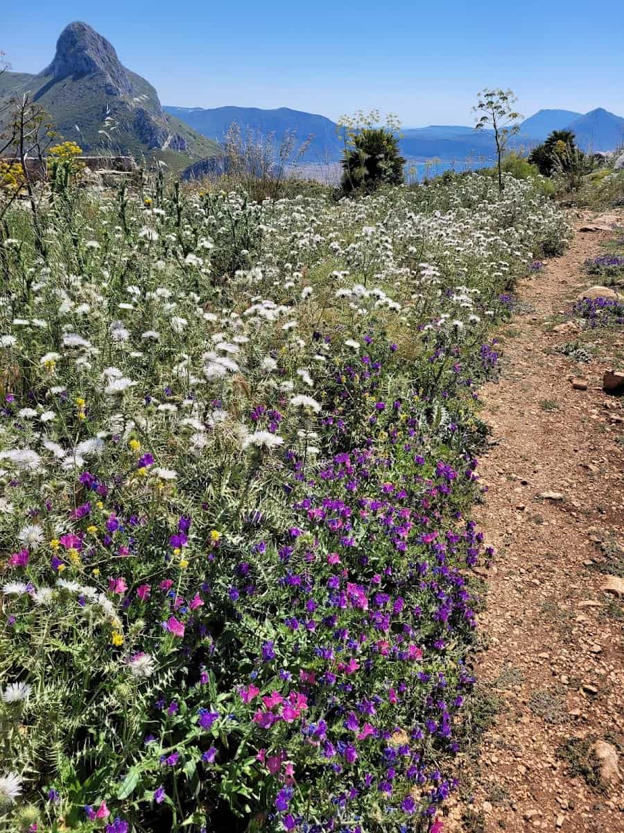 Monte Monaco, San Vito Lo Capo Monte Monaco, San Vito Lo Capo