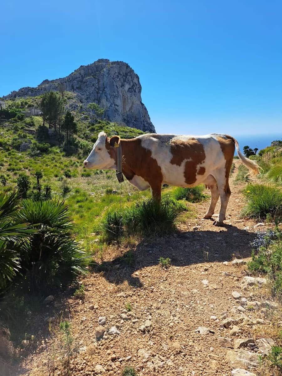 Monte Monaco, San Vito Lo Capo Monte Monaco, San Vito Lo Capo