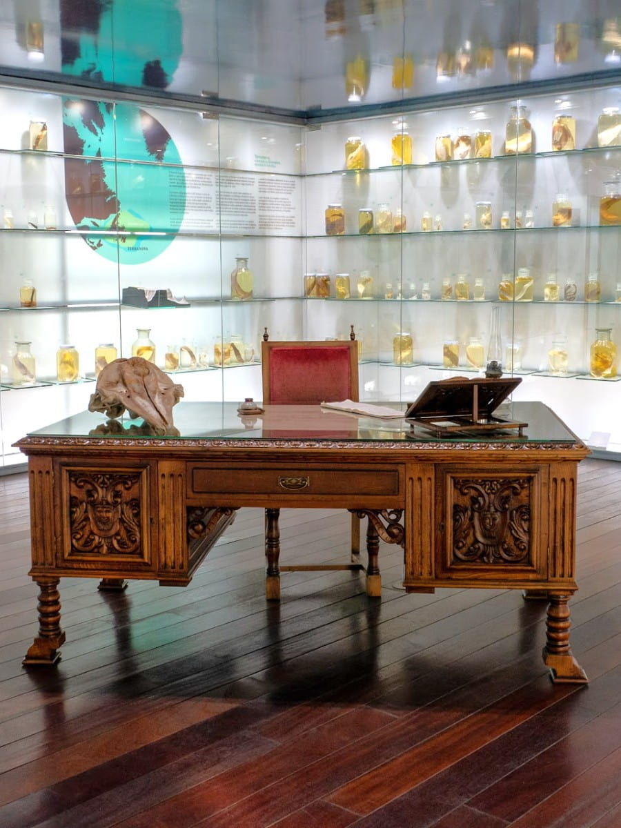 Museo do Mar de Galicia, Galicia Museo do Mar de Galicia, Galicia