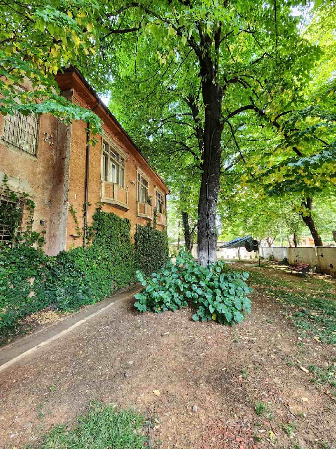 Myslym Shyri, Tirana Myslym Shyri, Tirana