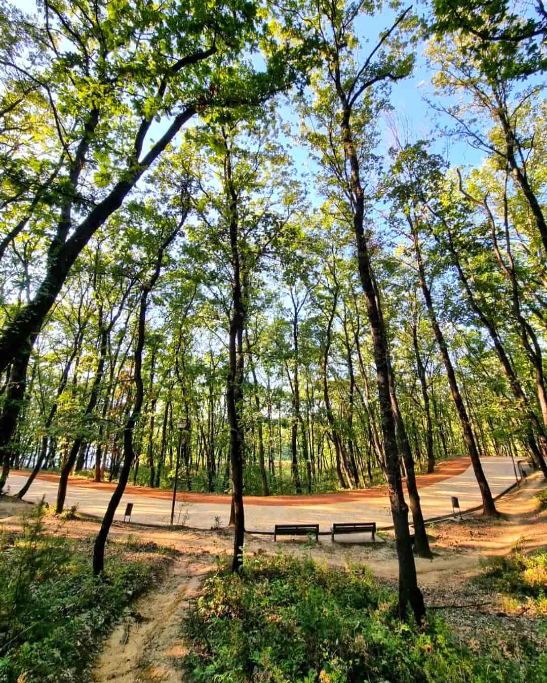 Near Tirana Lake, Tirana Near Tirana Lake, Tirana