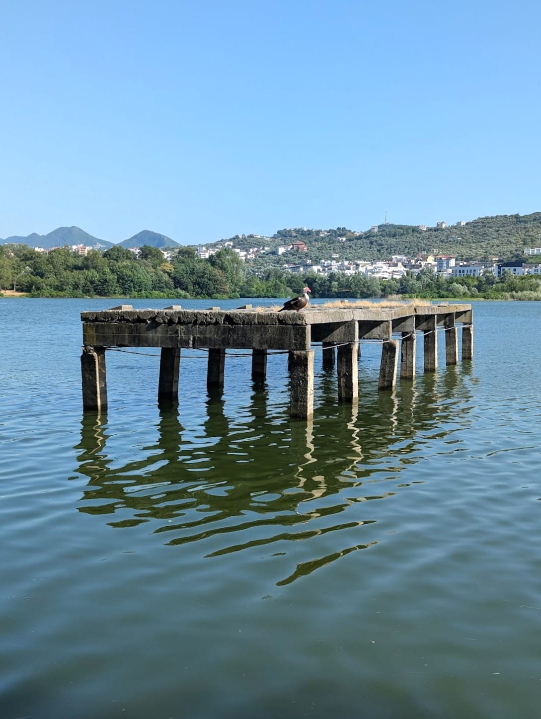 Near Tirana Lake, Tirana Near Tirana Lake, Tirana