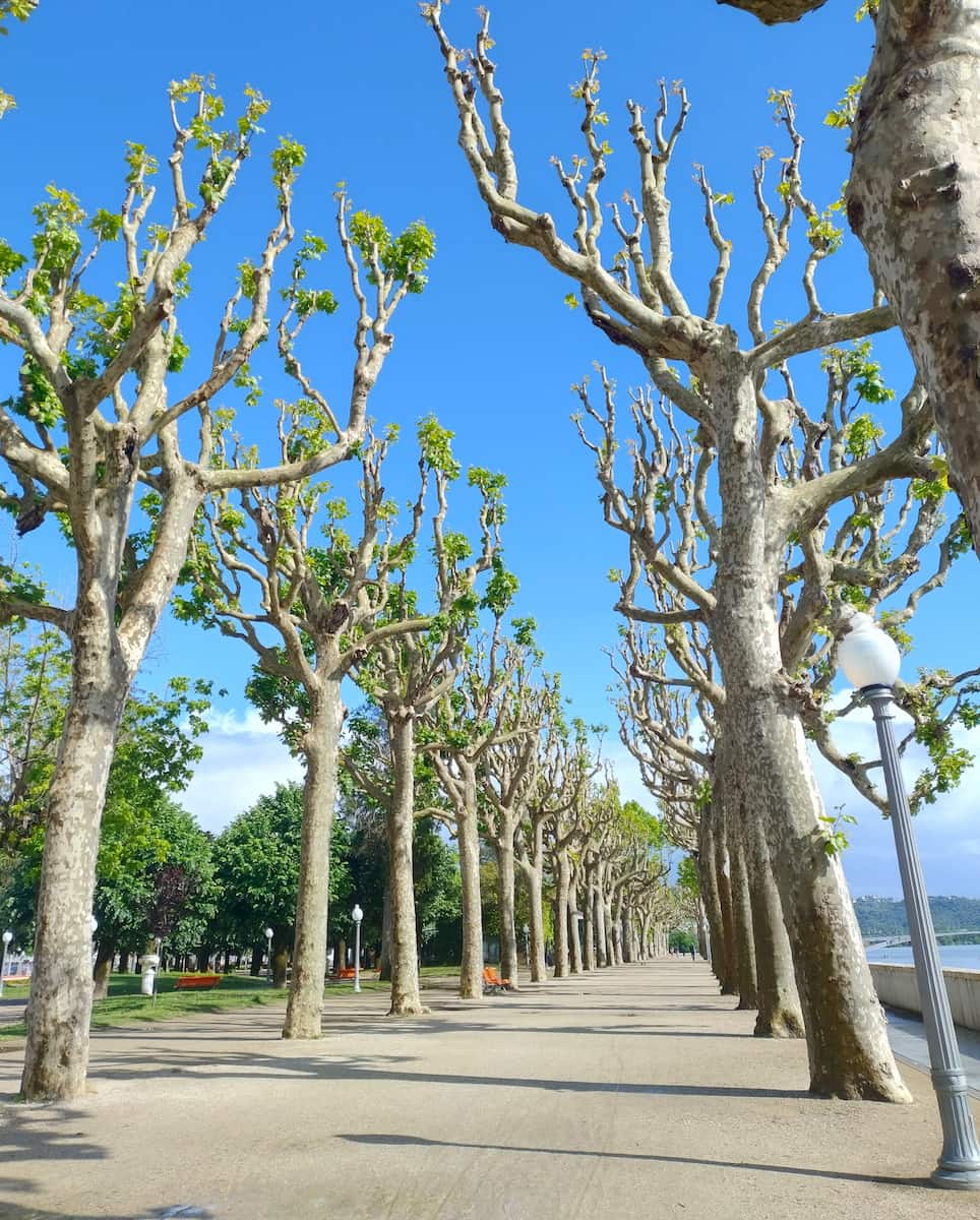 Parque Verde do Mondego, Portugal Parque Verde do Mondego, Portugal