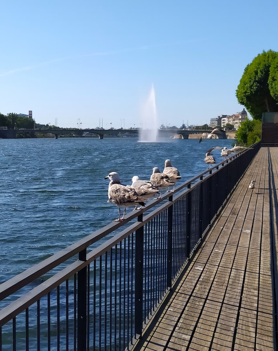 Parque Verde do Mondego, Portugal Parque Verde do Mondego, Portugal