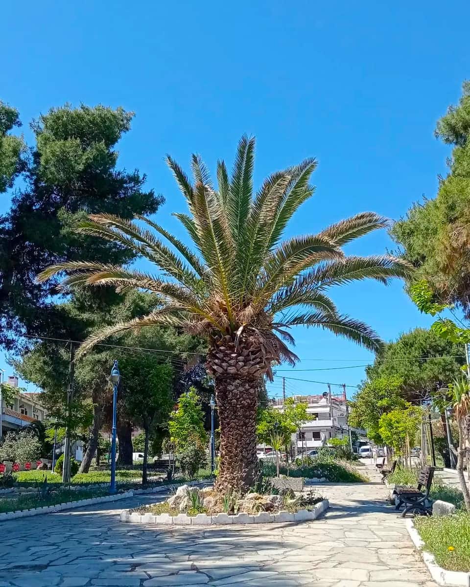 Hanioti, Greece Hanioti, Greece