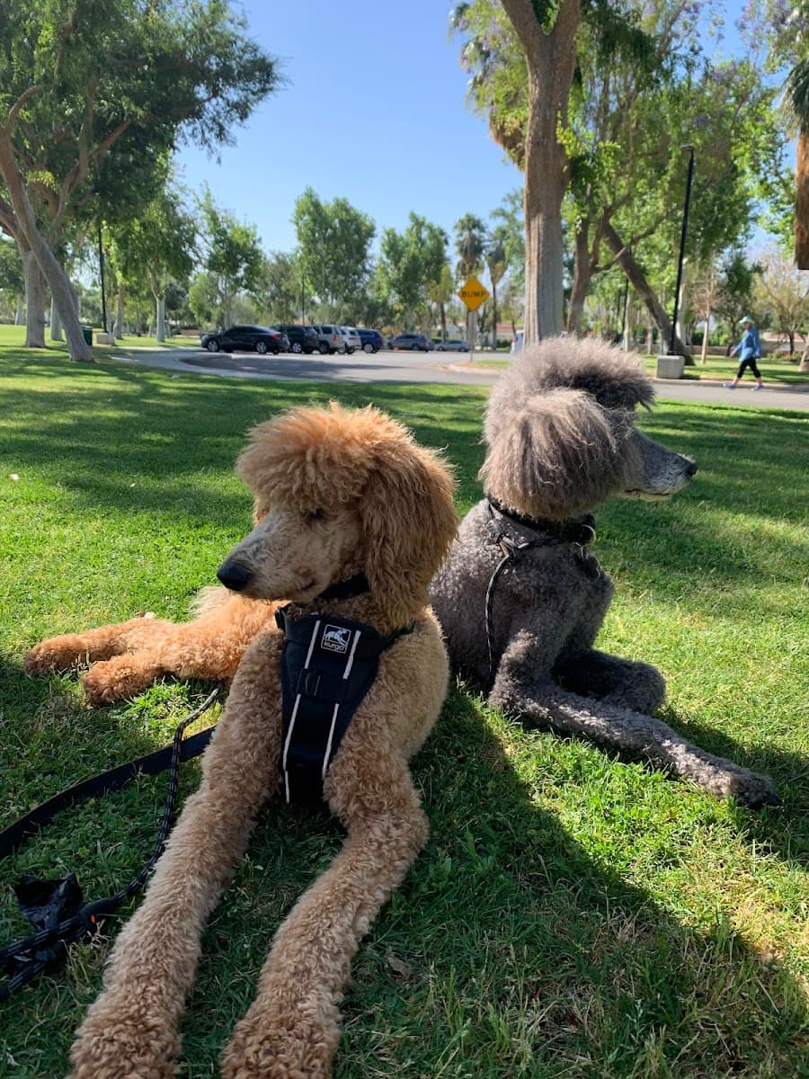 Ruth Hardy Park, Palm Springs Ruth Hardy Park, Palm Springs